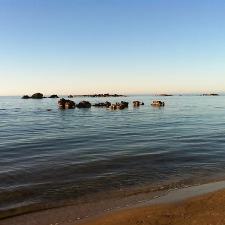 φρίνη *