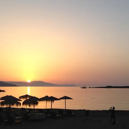 φρίνη *