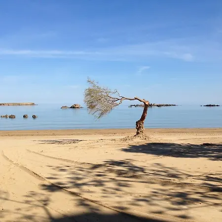 φρίνη * Χανιά