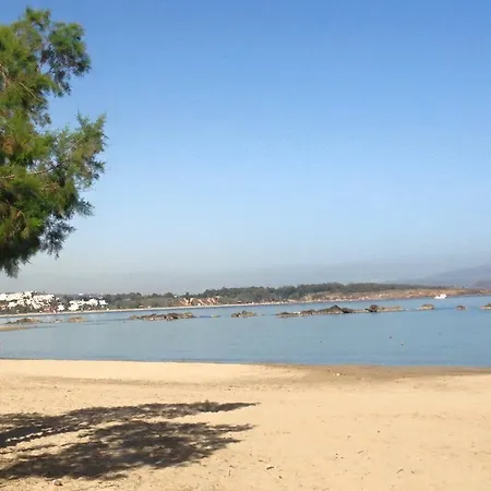 φρίνη * Χανιά