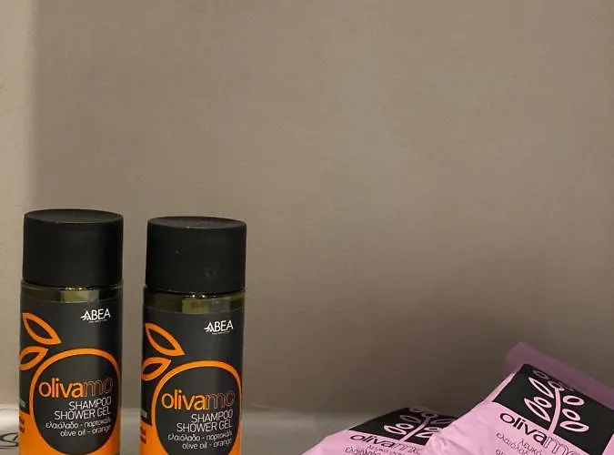 弗里尼酒店 酒店