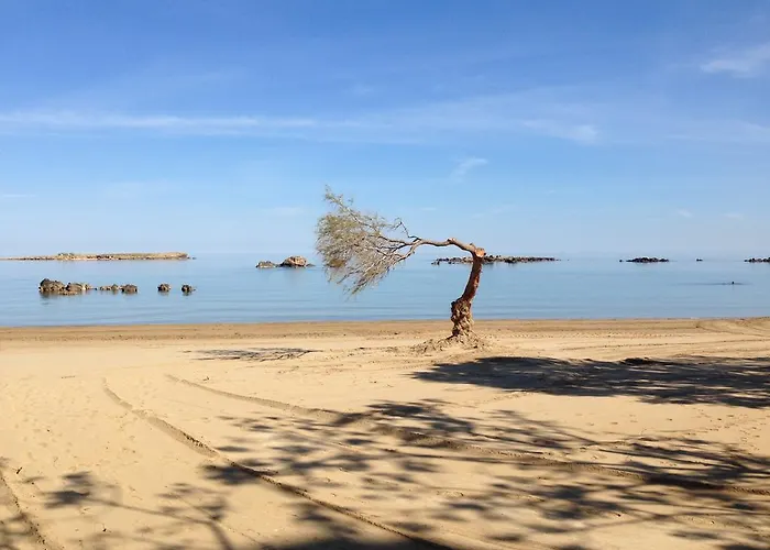 弗里尼酒店 * 干尼亞